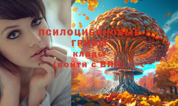 MESCALINE Алзамай