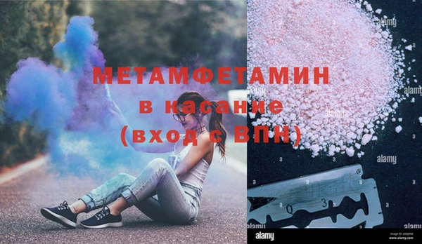 сатива Новозыбков