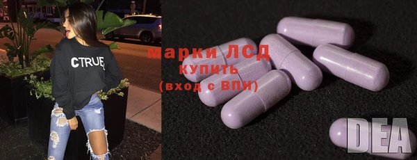 СК Алексин