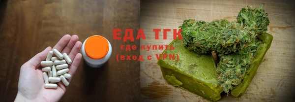 СК Алексин