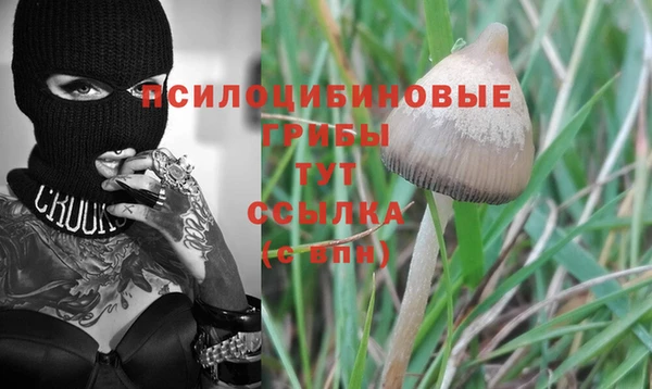 MESCALINE Алзамай